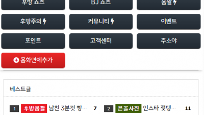 레드통18(redtong18.com) 최신주소 및 카테고리 정보